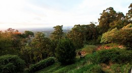 Dandenong Bonzaview B&B view