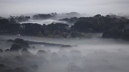 Dandenong Bonzaview B&B view