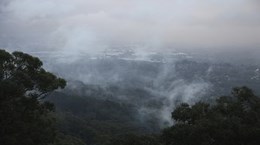 Dandenong Bonzaview B&B view